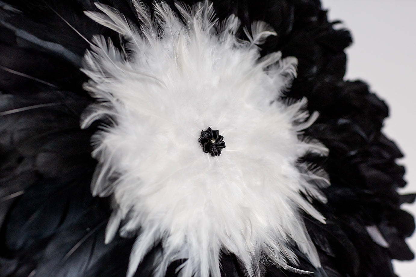 FLEUR DE PLUMES