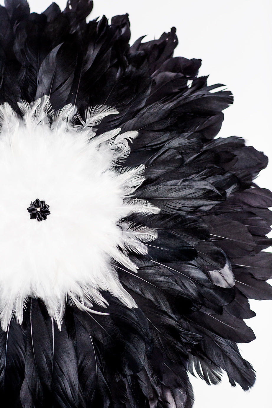 FLEUR DE PLUMES