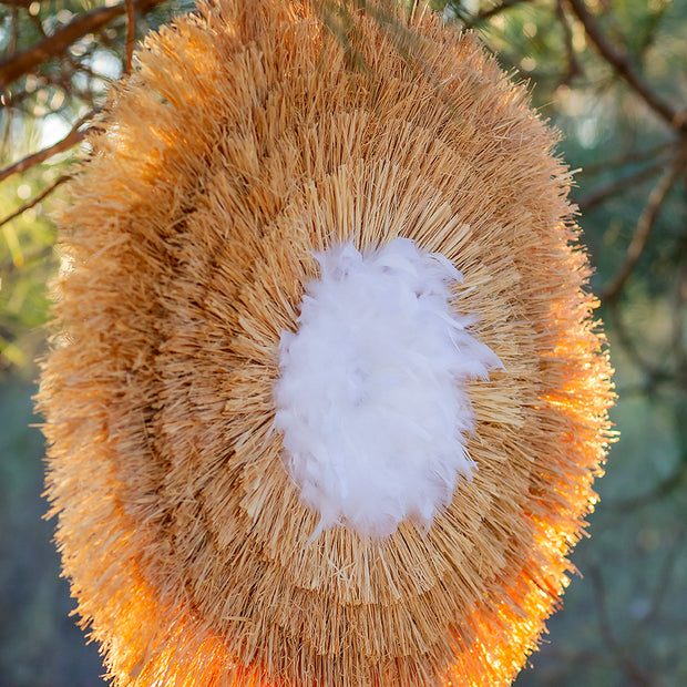 LE SOUFFLE DES PLUMES