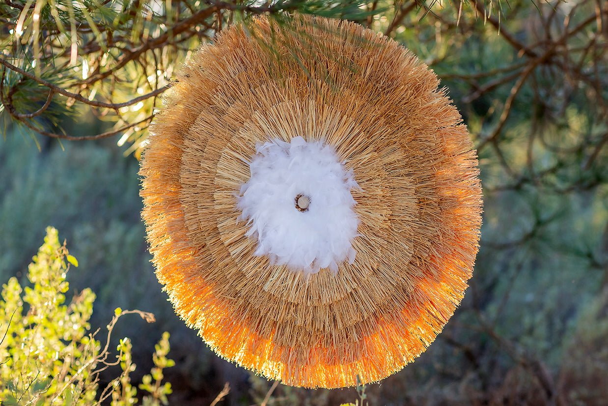 LE SOUFFLE DES PLUMES