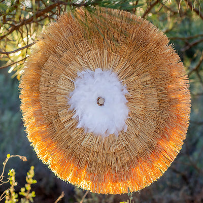 LE SOUFFLE DES PLUMES