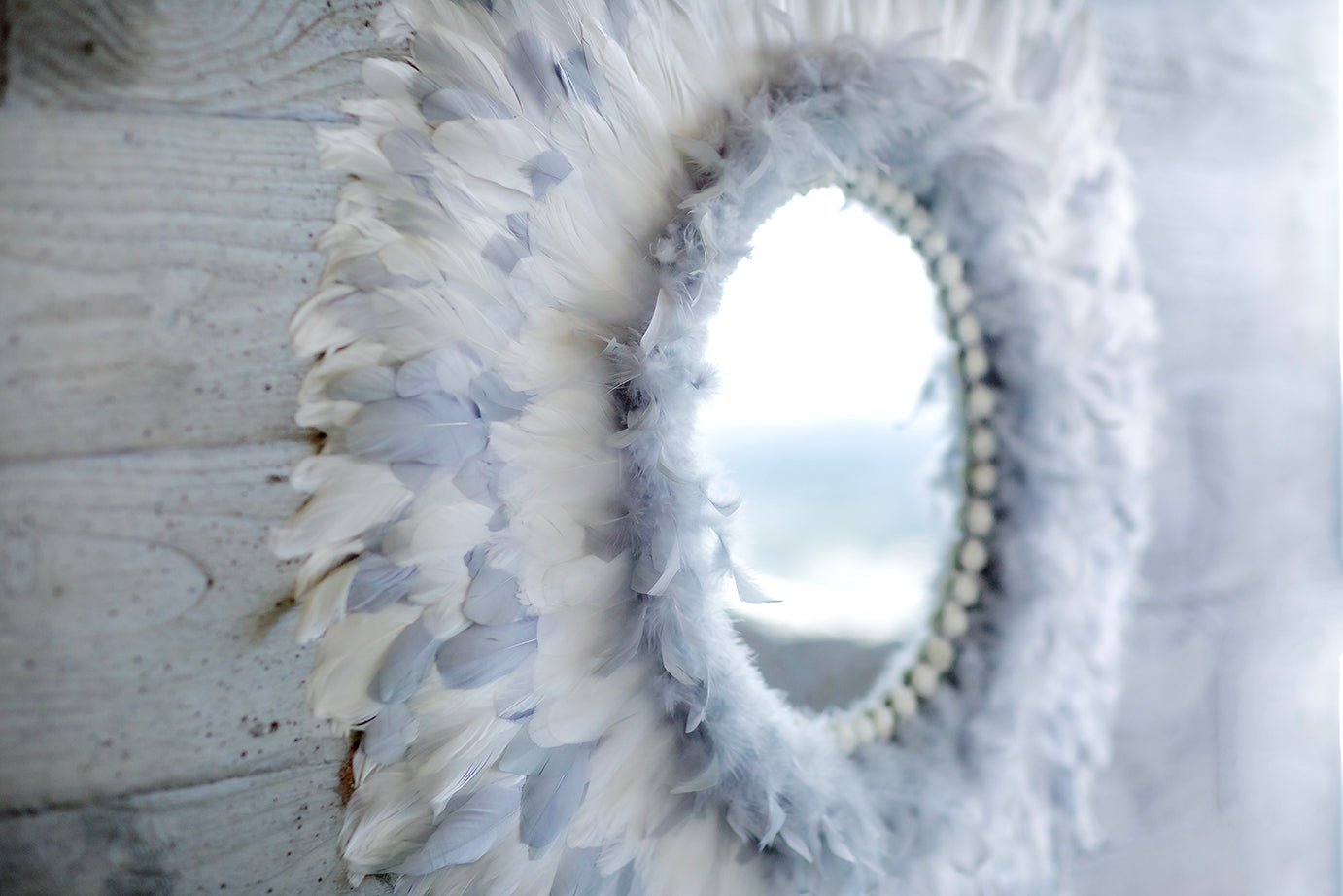 L'OMBRE DE PLUMES