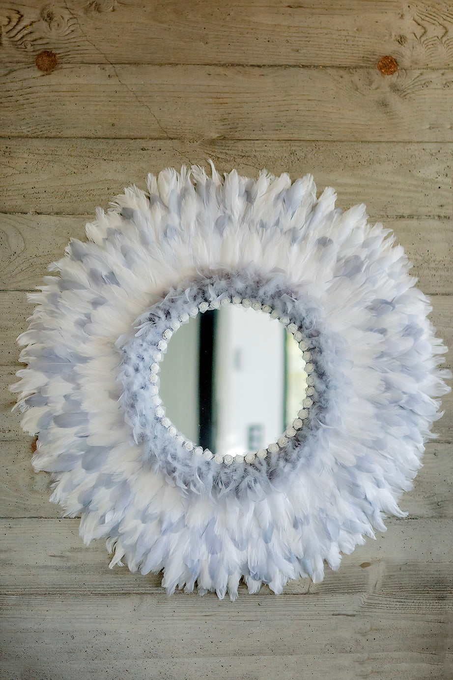 L'OMBRE DE PLUMES