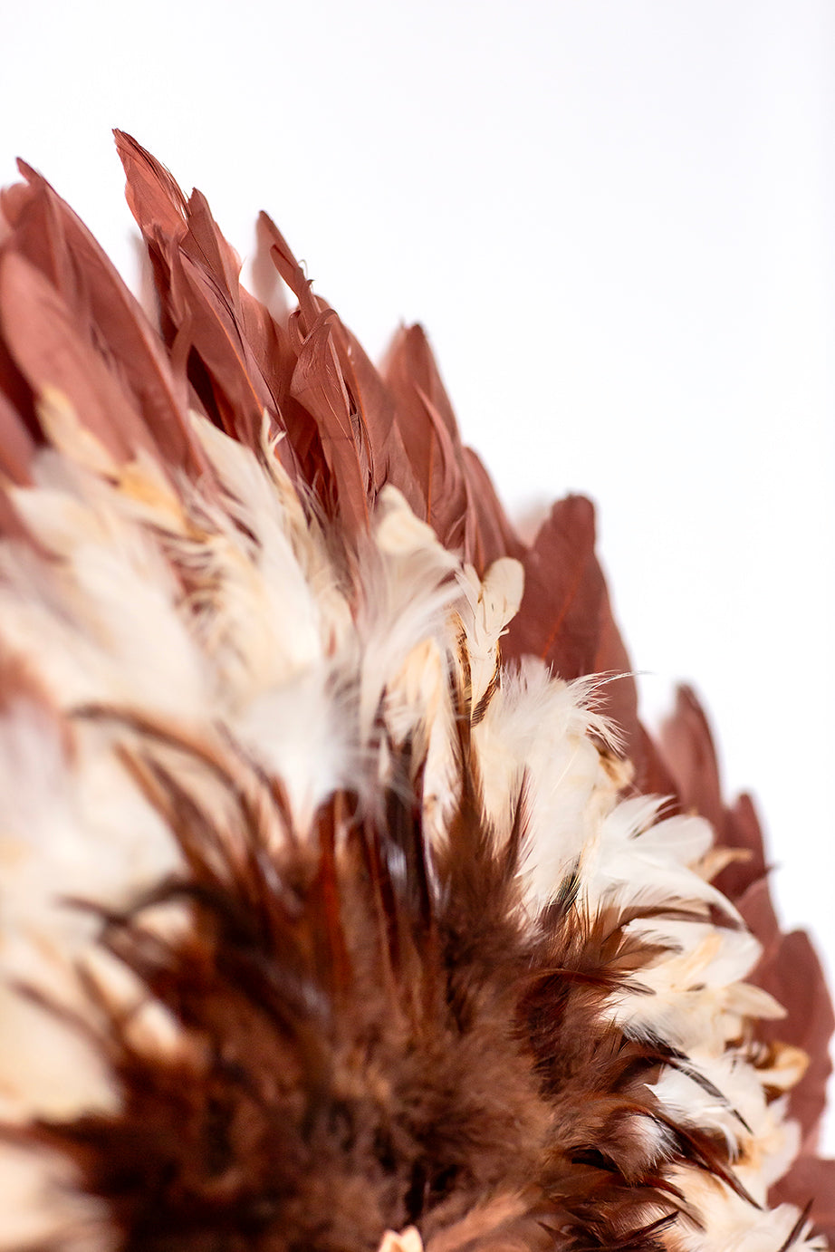 ELEGANCE D'AUTOMNE