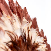 ELEGANCE D'AUTOMNE